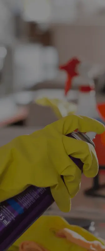 Cleaners Available in North Highlands